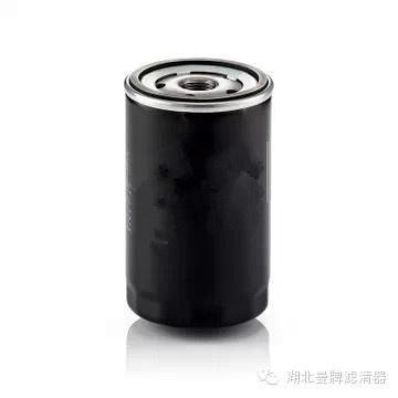 Oil Filter for Mann W719/15