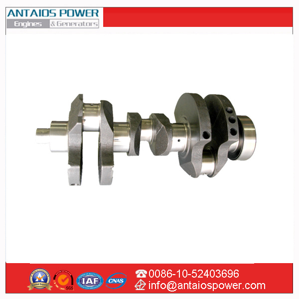 Crankshaft for Deutz Diesel Engine FL912/913