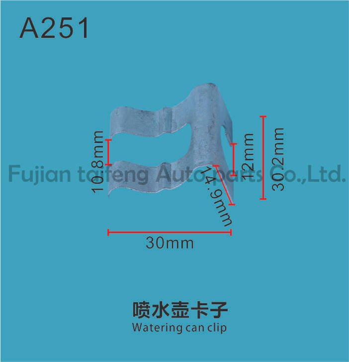 Automobile Body Plastic Fastener and Clips 0025