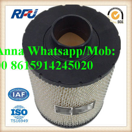 Ah1136 High Quality Air Filter for Fleet Guard (AH1136)