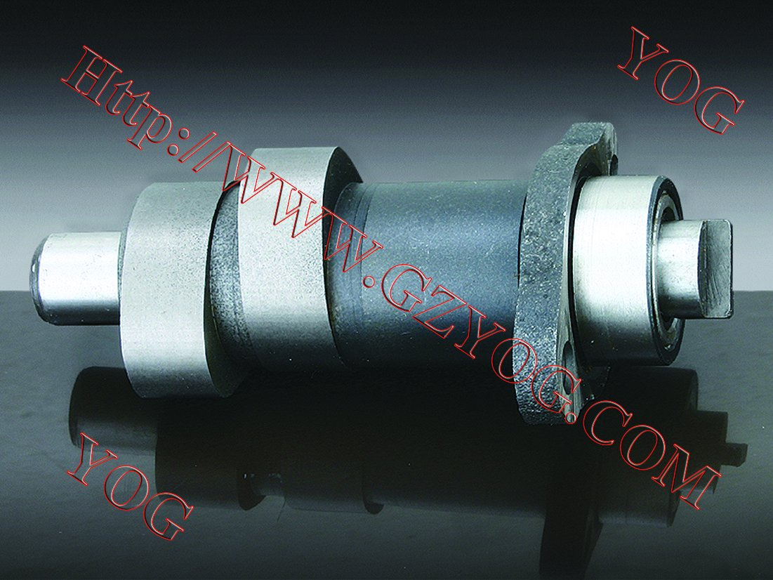 Motorcycle Parts Motorcycle Camshaft Moto Shaft Cam for Ga125