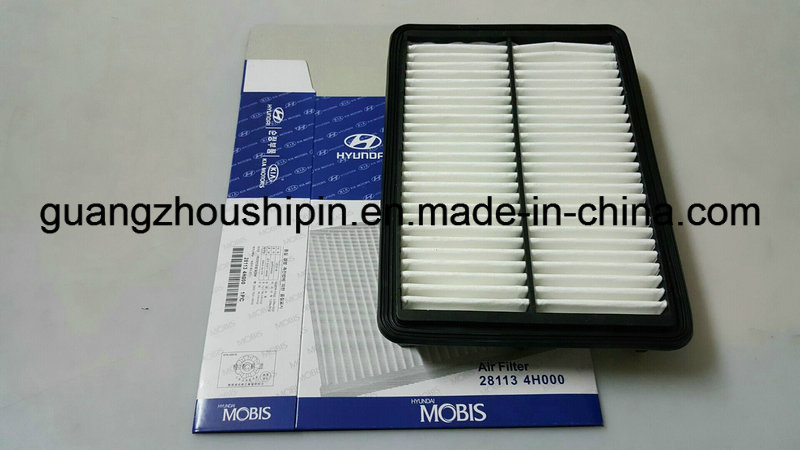 OE Quality Air Filter for Hyundai (28113-4H000)