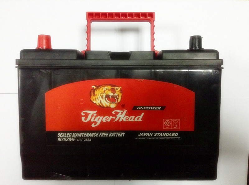 Gemany Technology AGM Battery (12V40AH)