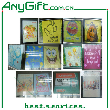 PVC Car Shade with Customized Logo