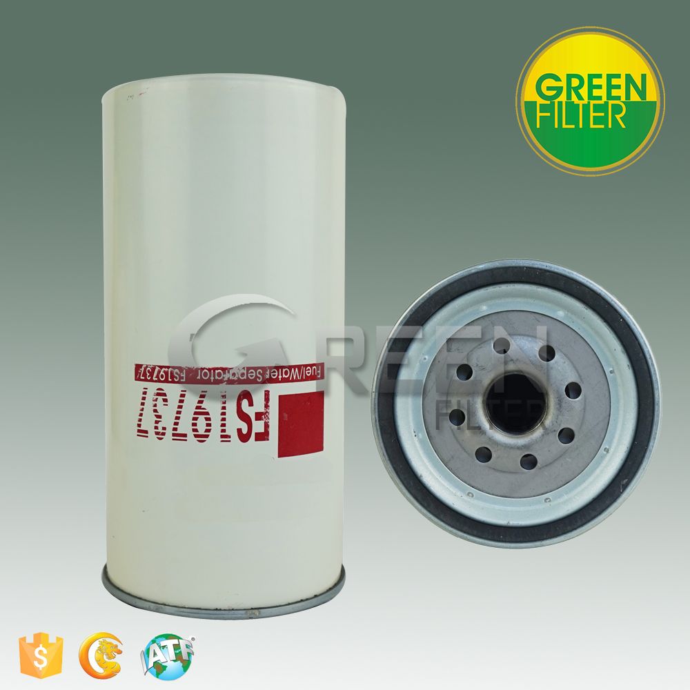 Fuel/Water Filter for Auto Parts (FS19737)