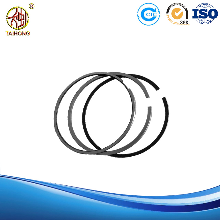 Quality Single Cylinder Diesel Engine Parts Piston Ring