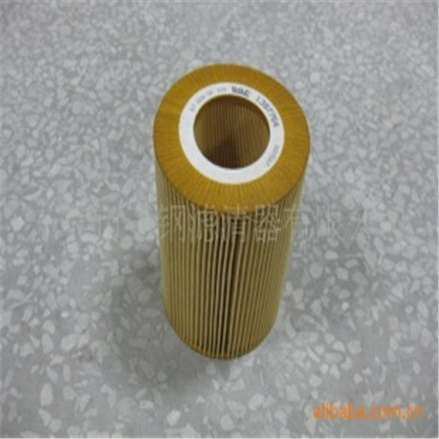 1397764 High Quality Oil Filter for Daf (1397764, E43HD98)
