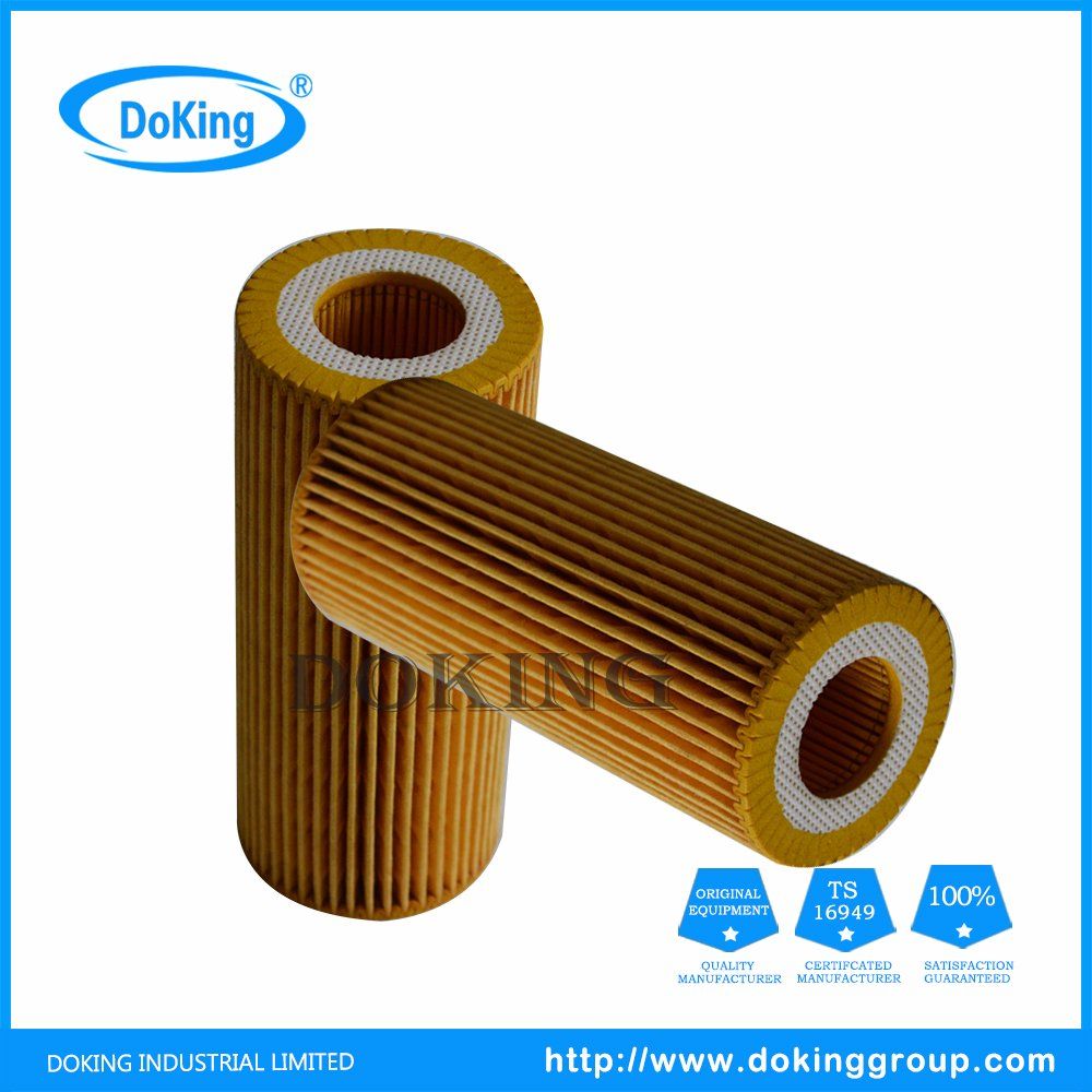 Popular Mann Oil Filter Hu719/8X for Ford, Volvo