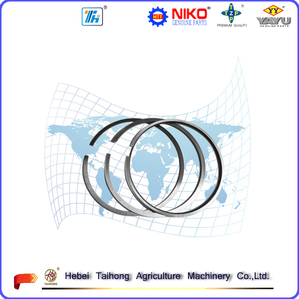 S1110 Diesel Engine Spares Piston Ring