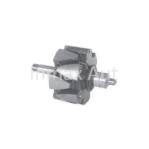 Rotor for Auto Alternator 139465 54206536 54206538 Wrt6555
