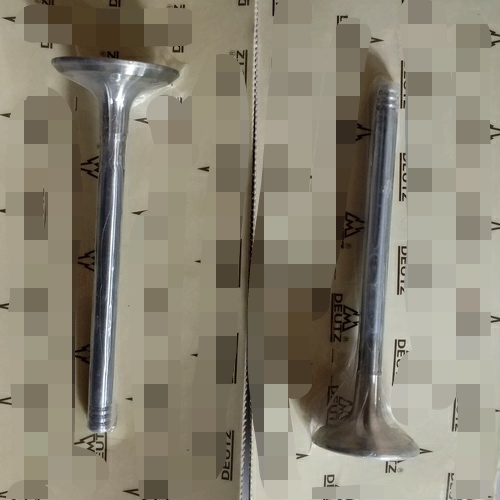 Engine Valve for Diesel Engine F4l1011