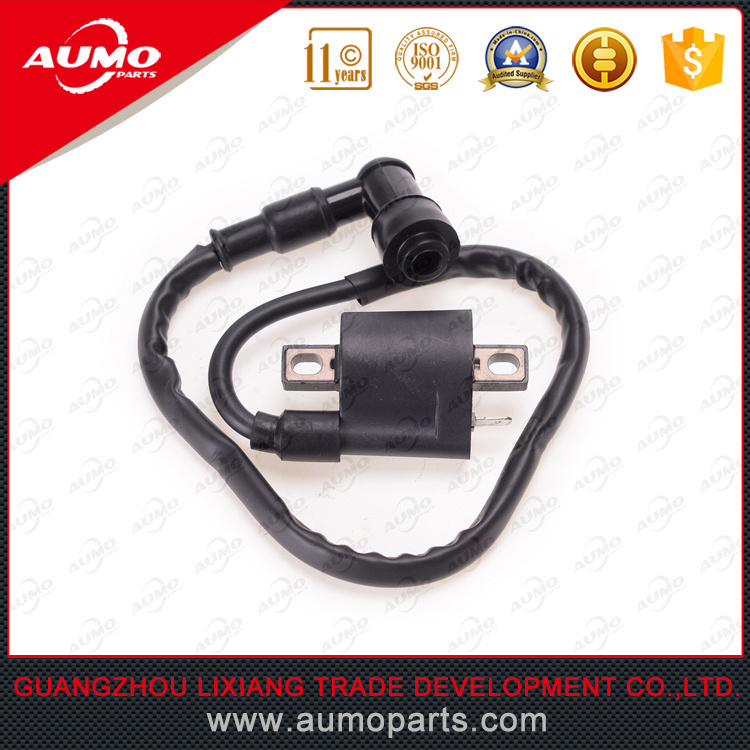 Cg125/150 Automobile Ignition Coil Racing Ignition Coil with High Quality