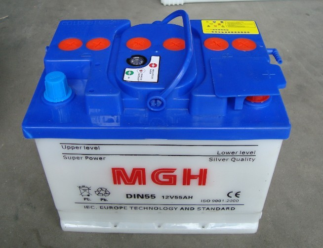 OEM Brand 55546/65 Car/Automobile 12V55ah Dry Charged Battery