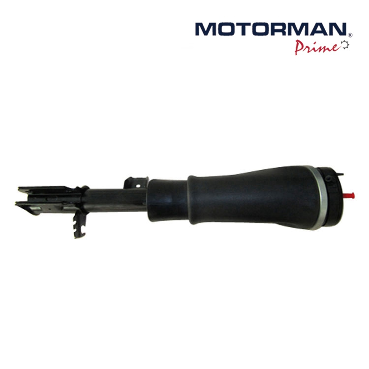 Front Left Shock Strut Air Suspension for Land Rover Range Rover L322 2003-2009 Rnb000750