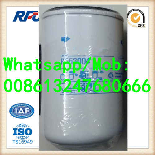 P553004 High Quality Fuel Filter for Donaldson (P553004)