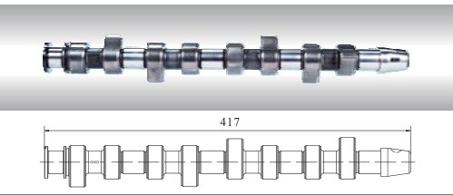 Auto Camshaft for Ford VW and Seat (028.109.101f)
