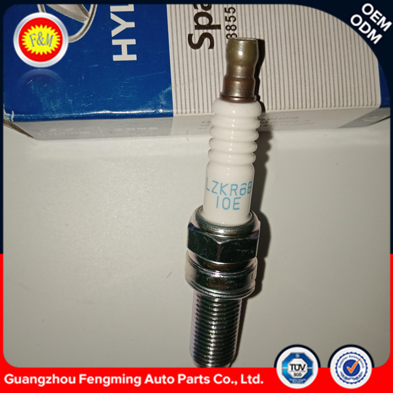 High Performance Auto Spark Plug Lzkr6b10e for Car