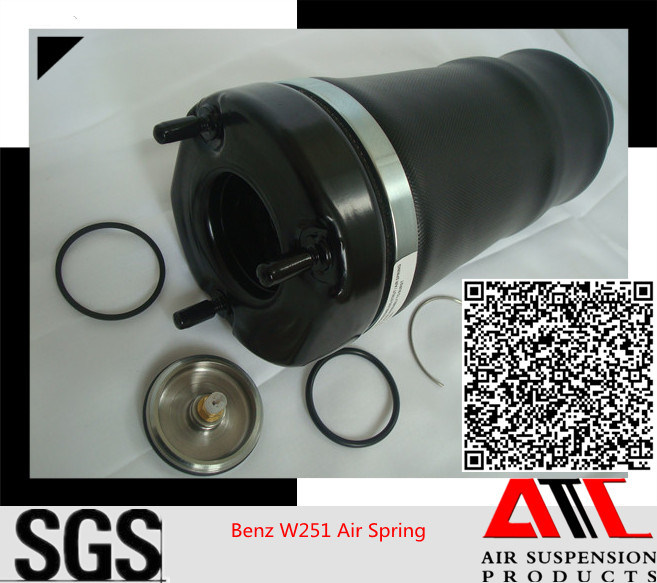 Spare Part Shock Absorber Series for Auto Mercedes W251 Front