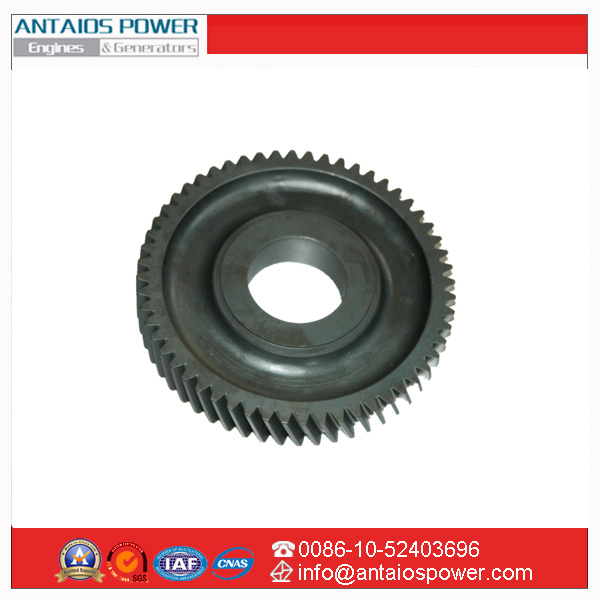 Diesel Engine Parts- Camshaft Gear 210 1231