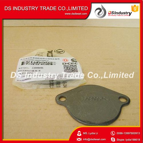 Cummins Diesel Engine Part Flywheel Cover Plate 3908095