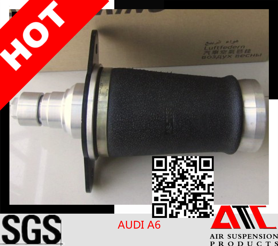 Rear Shock Absorber for Audi A6 as-7053 4z7616051A 4z7616052A