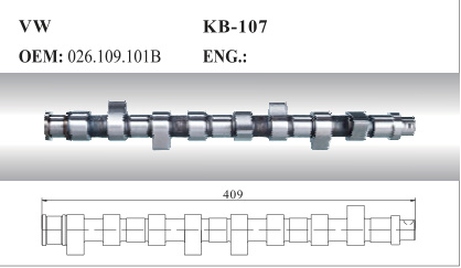 Auto Camshaft for VW (026.109.101b)