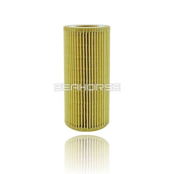 Professional Supplier of Oil Filter for E-Class Car 6131800009