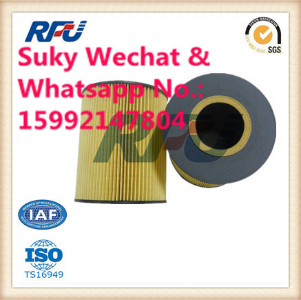 E13h D47 Hengst Oil Filter Auto Parts for Man (E13H D47)