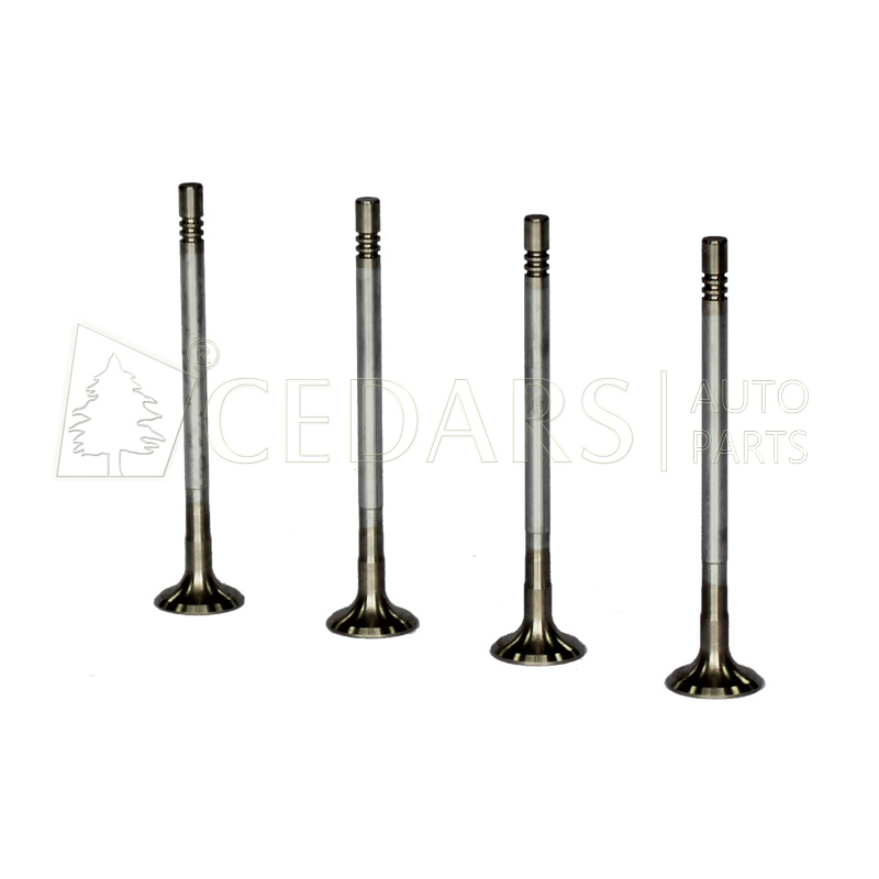 Exhaust Valve 2s7q 6505AC-Hb for Ford Transit Engine