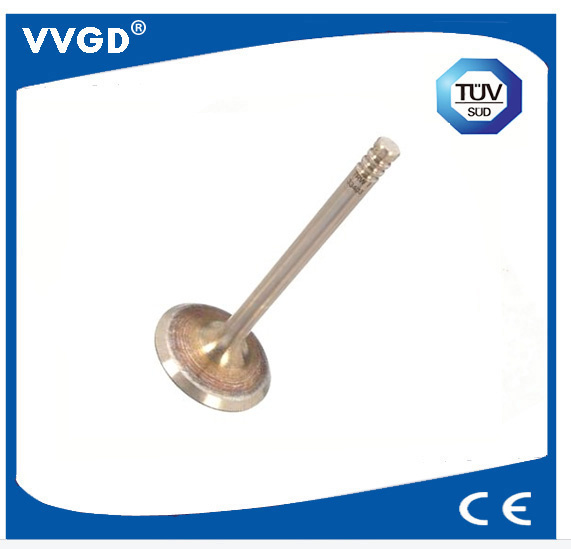 Auto Intake Valve for VW 078109601b