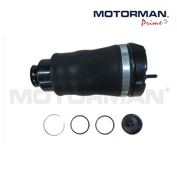 Auto Parts OEM 1643204313 Suspension Air Bag for Mercedes Benz W164/Ml-Class