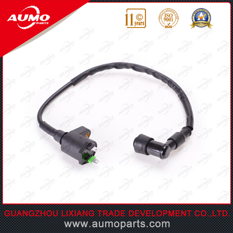 Selling Ignition Coil for CPI Gtx125 and Qingqi Qm125t-10r Scooters Chinese Scooter Parts