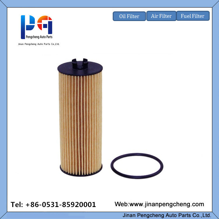 Car Auto Spare Parts Oil Filter Element CH10955