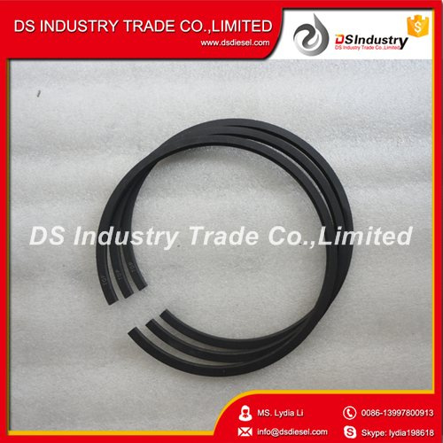 Yuchai Diesel Engine Parts A30-1004016 Piston Ring