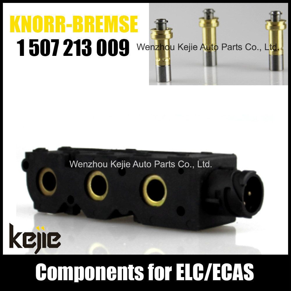 Ecas Elc Solenoid Valve Coil 1507213009 for Truck
