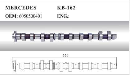 Auto Camshaft for Mercedes (6050500401)