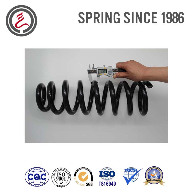 Suspension Springs for Pontiac 6000
