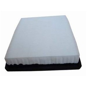 Air Filter for Buick 25099149