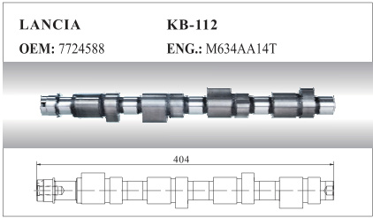 Auto Camshaft for Lancia (7724588)
