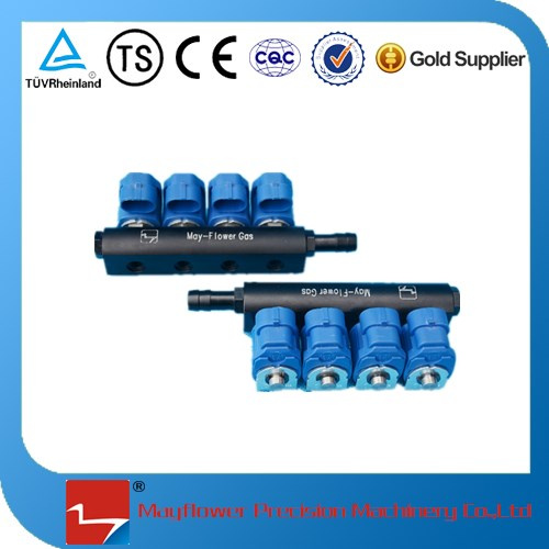 CNG Common Rail Fuel Injector (4 cylinder)