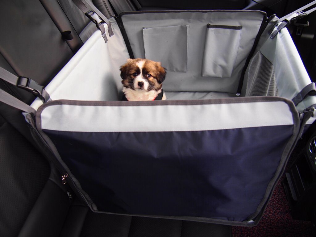 Single Pet Hammock Car Backseat for Dog Use