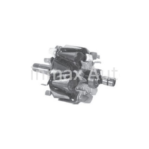 Rotor for Car Alternator F00m121619 Foom121619 231682 Wrt69766