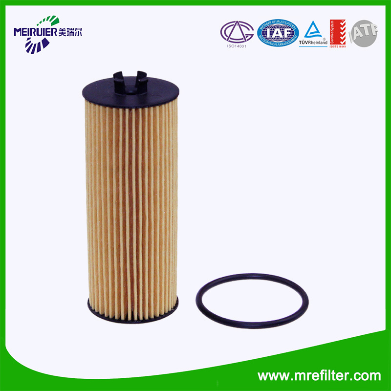 China OEM Manufacturer Auto Engine Oil Filter for Car CH10955