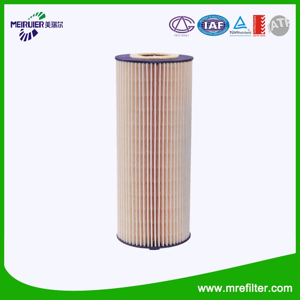 Eco-Friendly Element Oil Filter E161h01 D28 for Mercedes-Benz