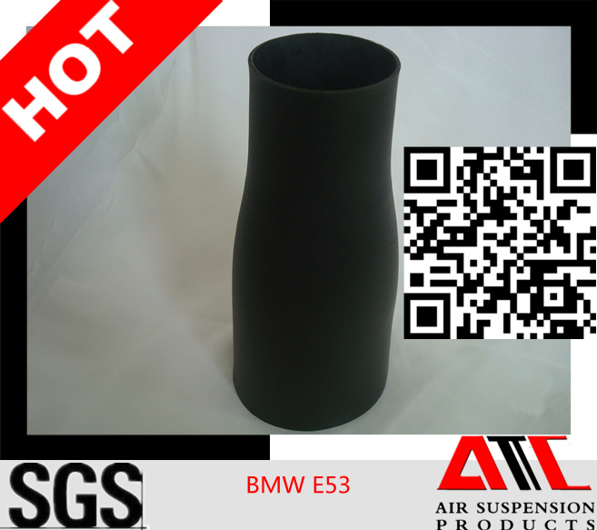 Good Quality E53 Pneumatic Spring Parts for BMW
