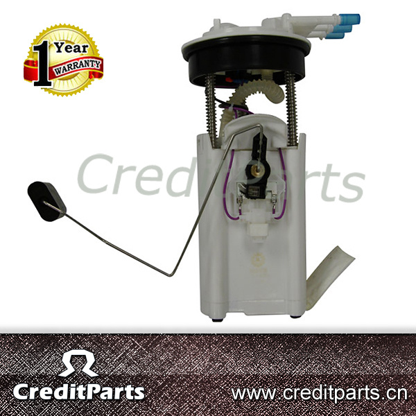 E3510m OEM Gmc Petrol Fuel Pump Assembly