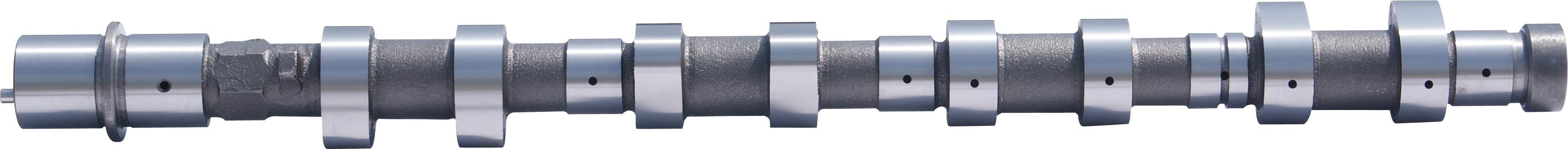 Engine Parts Cast Iron Intake Camshaft for Mazda WE (WE01-12-420)