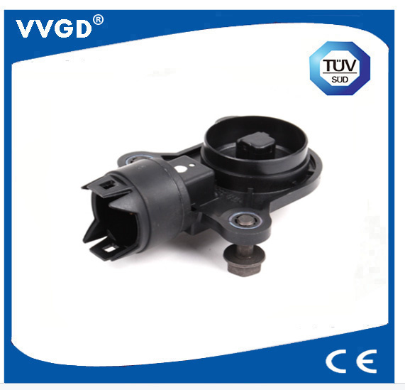 Auto Eccentric Shaft Sensor Use for BMW 11377524879