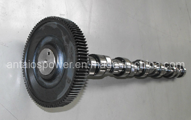 Camshaft of Deutz Engine Bf6m1013