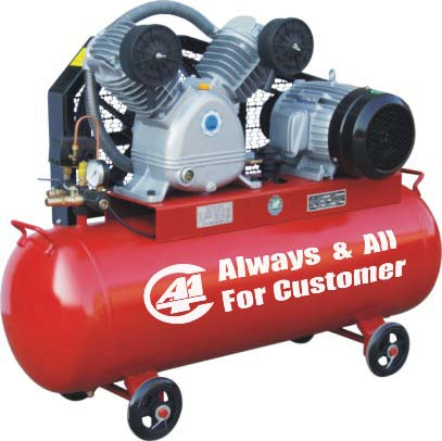 Vertical Air Compressor (AC2095FM)